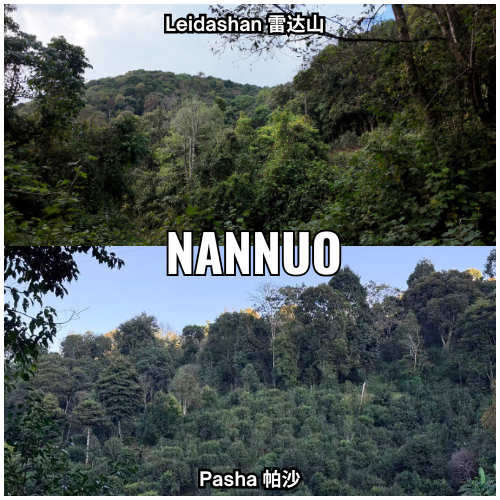 Nannuo - over - 2
